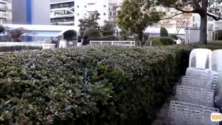 二零二三八月二十六_甜甜的一日_2